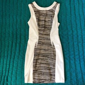 Bebe White Lace Mesh Bodicon Mini Dress Small